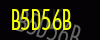 security_code