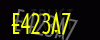 security_code