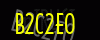 security_code