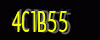 security_code