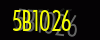 security_code