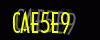 security_code