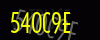 security_code