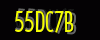 security_code