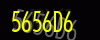 security_code