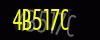 security_code