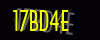 security_code