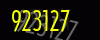 security_code