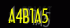 security_code