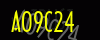 security_code