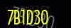 security_code
