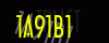 security_code