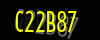 security_code
