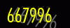 security_code