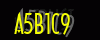 security_code