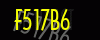 security_code