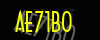 security_code