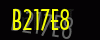 security_code