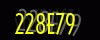 security_code