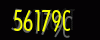 security_code