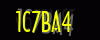 security_code