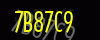 security_code