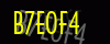 security_code