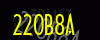 security_code