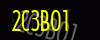 security_code