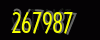 security_code
