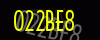 security_code