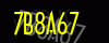 security_code