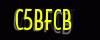 security_code