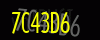 security_code
