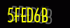 security_code