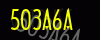 security_code