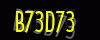security_code