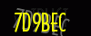 security_code