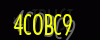 security_code
