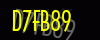 security_code