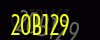 security_code