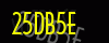 security_code