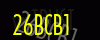 security_code