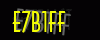 security_code