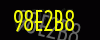 security_code
