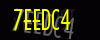 security_code