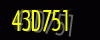 security_code