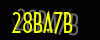 security_code