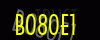 security_code