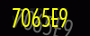 security_code